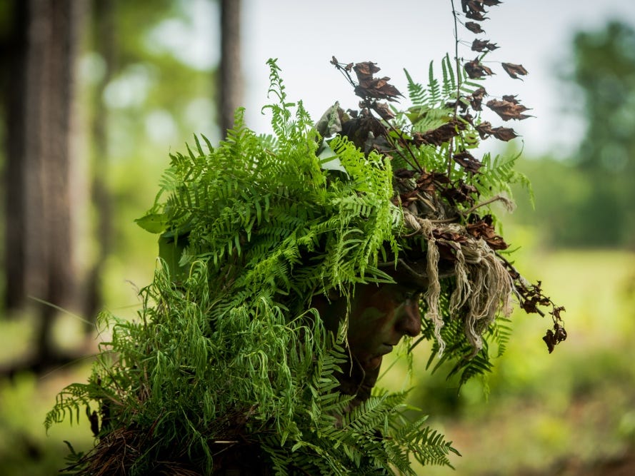 Ambush / Counter-Ambush & Advance Camouflage Training